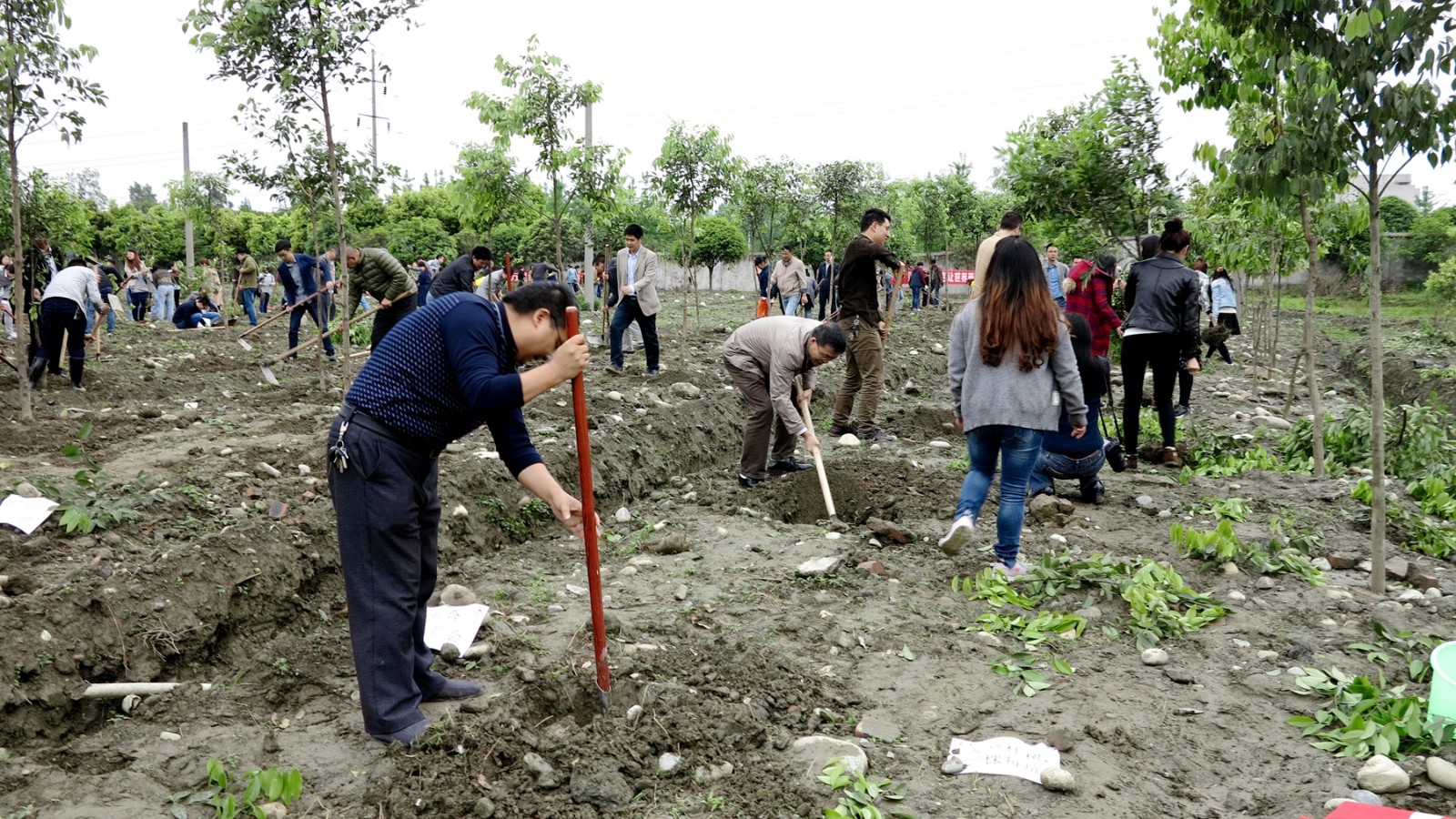 综合二分工会-张晓荔-2017年植树节_副本.jpg 综合二分工会-张晓荔-2017年植树节_副本.jpg