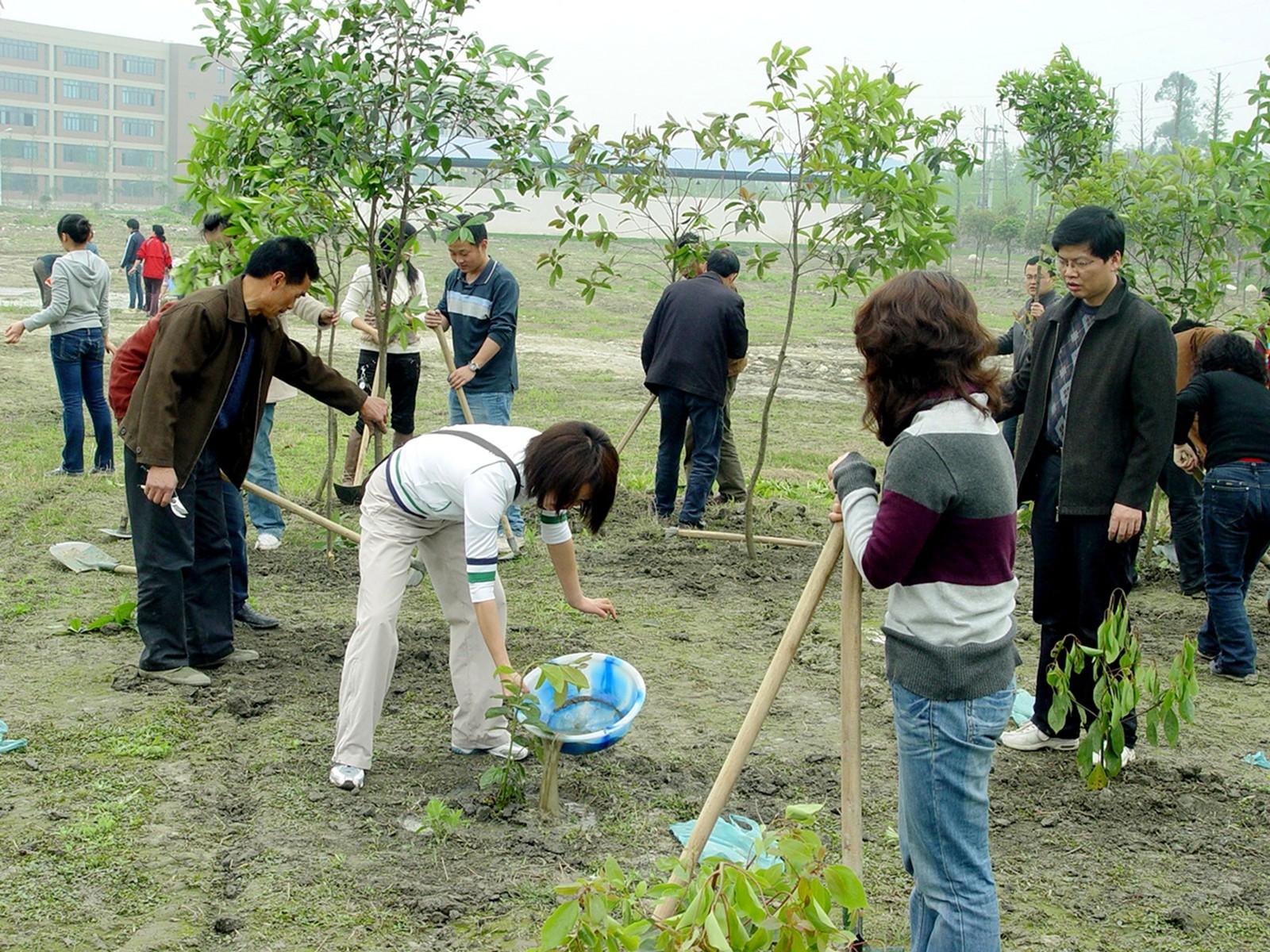 执锹种下育人林,执笔书写桃李情 + 综合二分工会+徐莉涛 (1)_副本.jpg 执锹种下育人林,执笔书写桃李情 + 综合二分工会+徐莉涛 (1)_副本.jpg