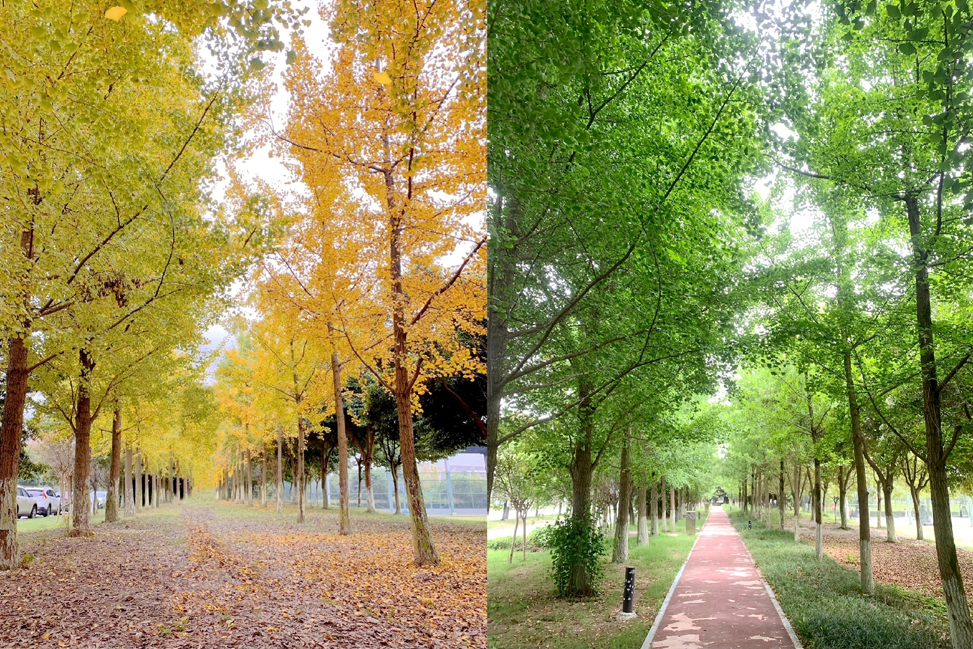 综合一分工会 - 林荫道笔记 - 肖蓉_副本.jpg 综合一分工会 - 林荫道笔记 - 肖蓉_副本.jpg