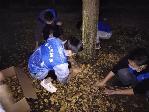 C:UsersAdministratorDesktop	IMG_20201027_183519.jpgIMG_20201027_183519