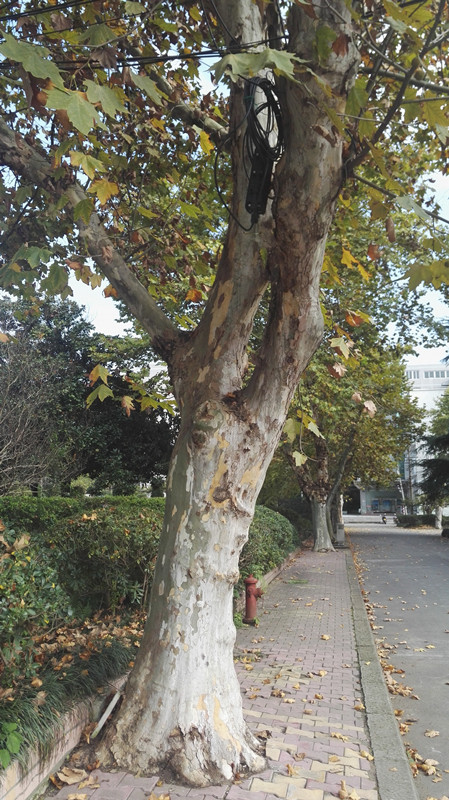 图片23.jpg 图片23.jpg